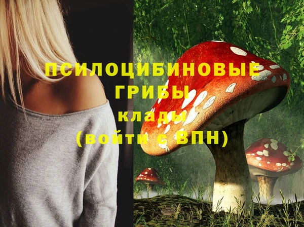 соль курить ск Заводоуковск