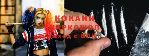 индика Заволжск