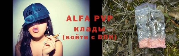 индика Заволжск