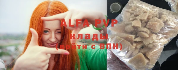 индика Заволжск