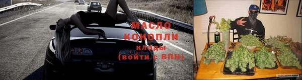 индика Заволжск