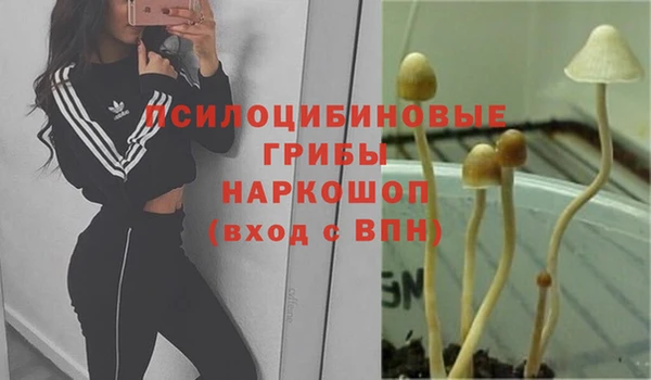 соль курить ск Заводоуковск