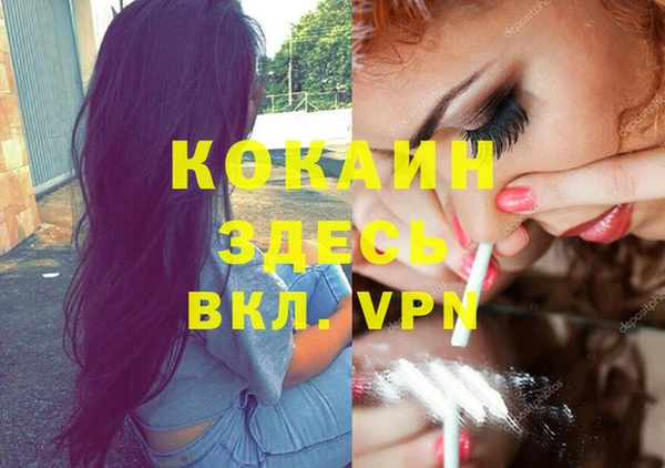 индика Заволжск