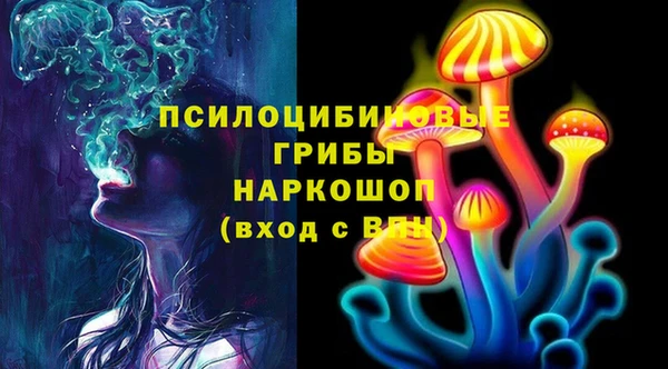 индика Заволжск