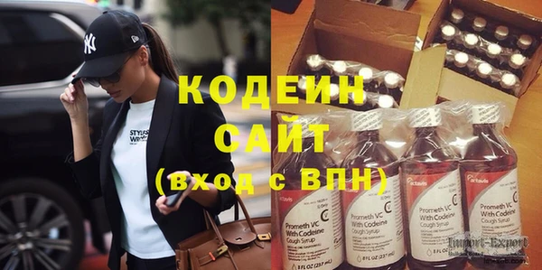 индика Заволжск
