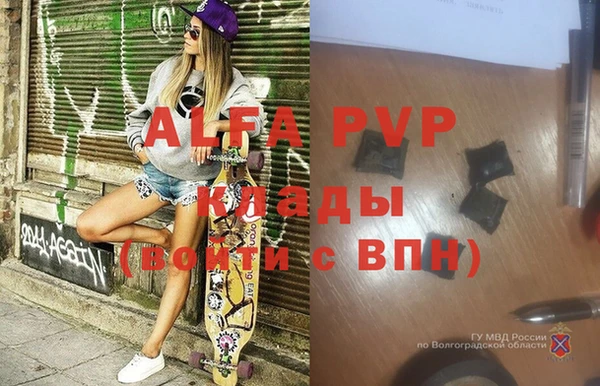 индика Заволжск
