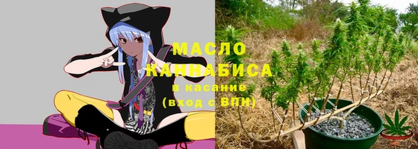 индика Заволжск