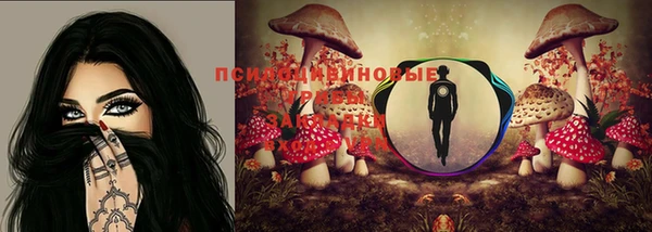 индика Заволжск