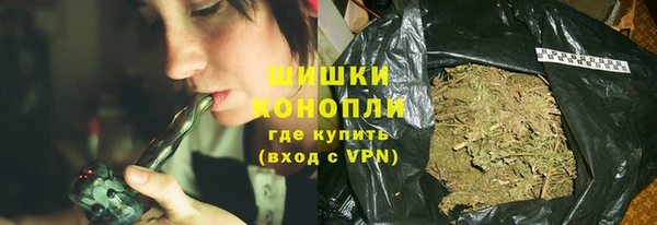 индика Заволжск